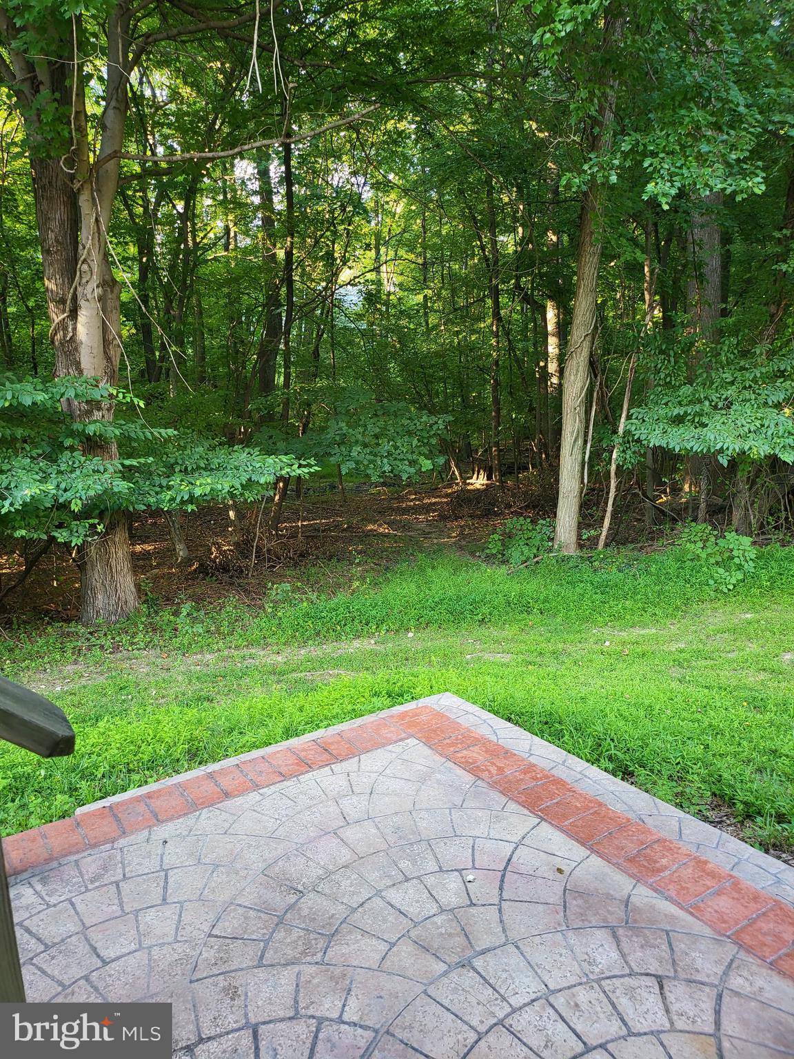 15135 Deer Valley Terrace Silver Spring, MD 20906 - Photo 27 of 28 WOODED BACKYARD