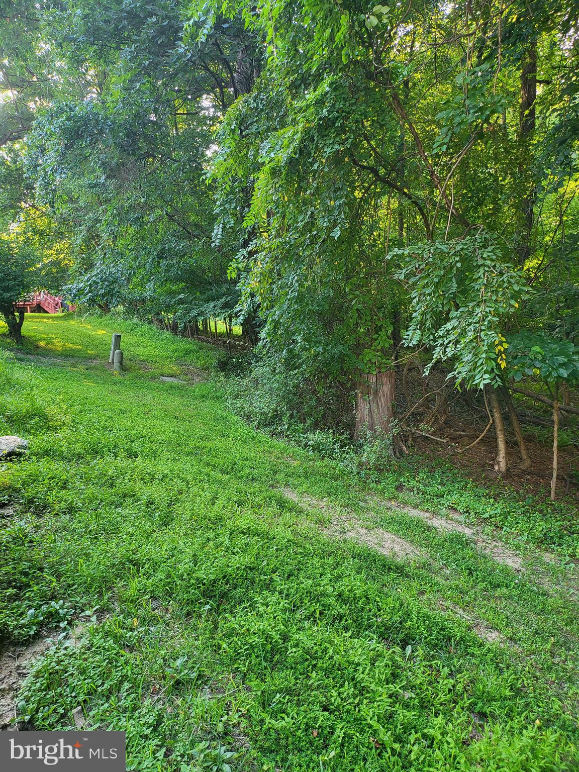 15135 Deer Valley Terrace Silver Spring, MD 20906 - Photo 28 of 28 WOODED BACKYARD