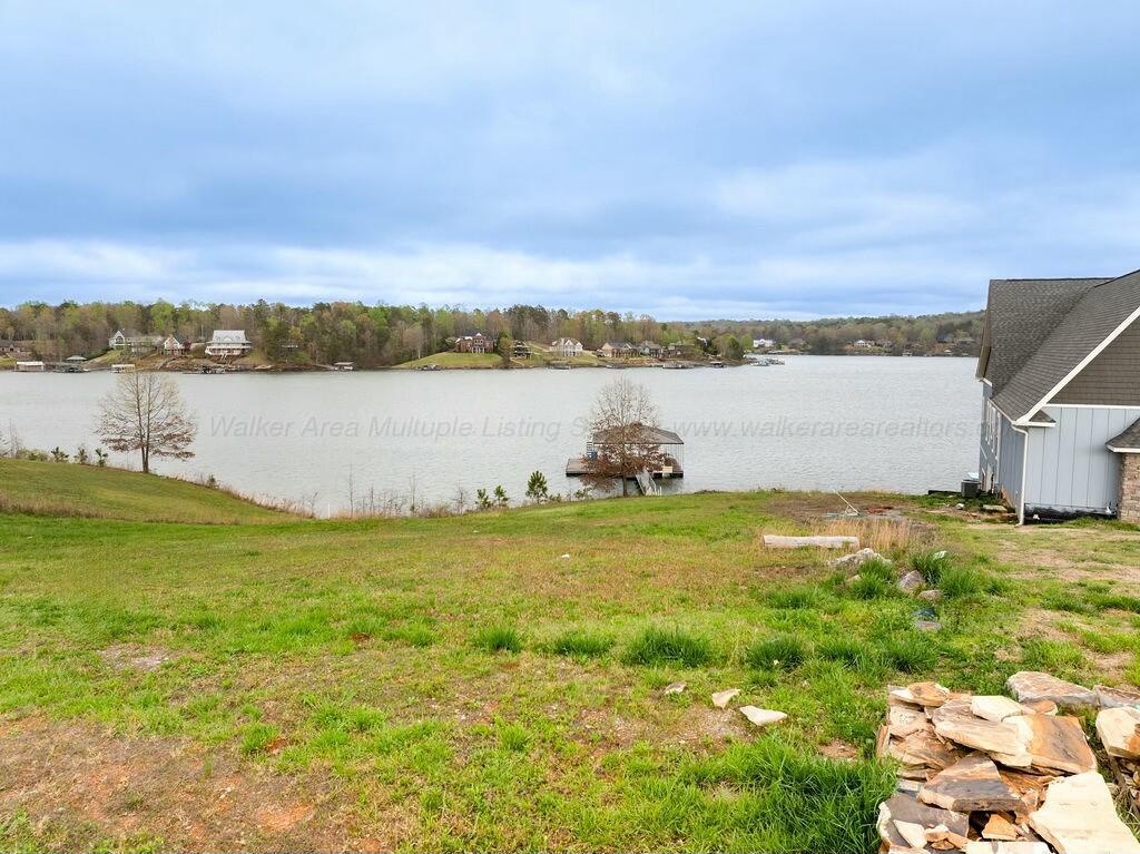 Lot 10 Noahs Road Jasper, AL 35503 - Photo 12 of 23 tempImagetsAqQq