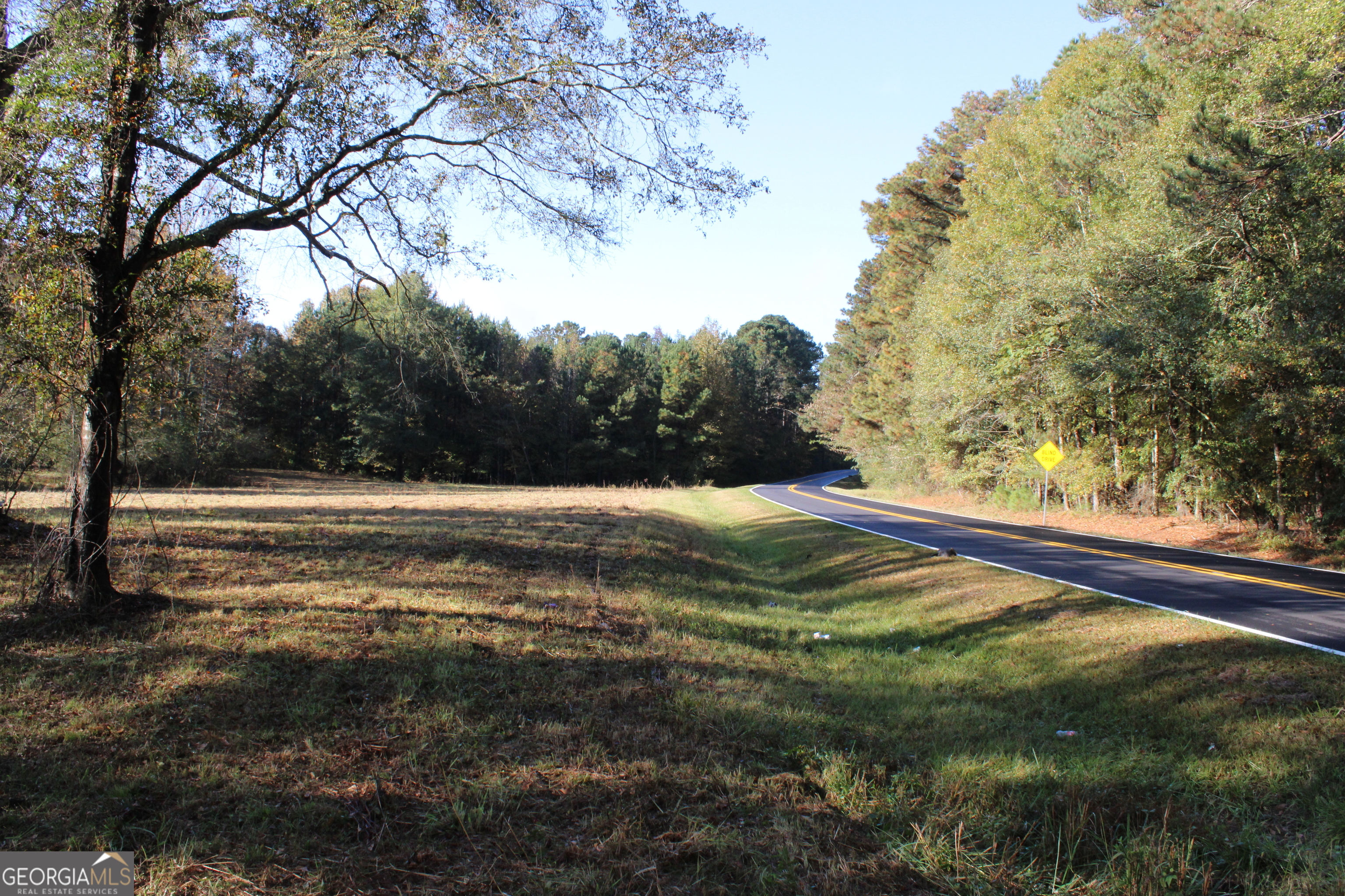 1701 Blue Springs Road Buckhead, GA 30625 - Photo 17 of 24 a view of a yard with large trees