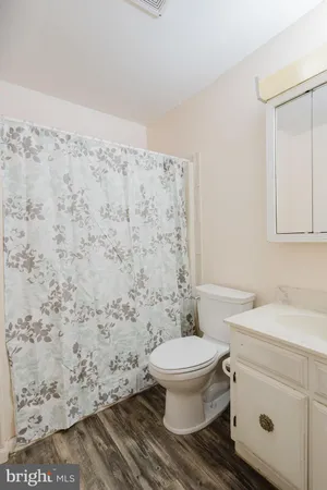 a bathroom with a sink a toilet and vanity