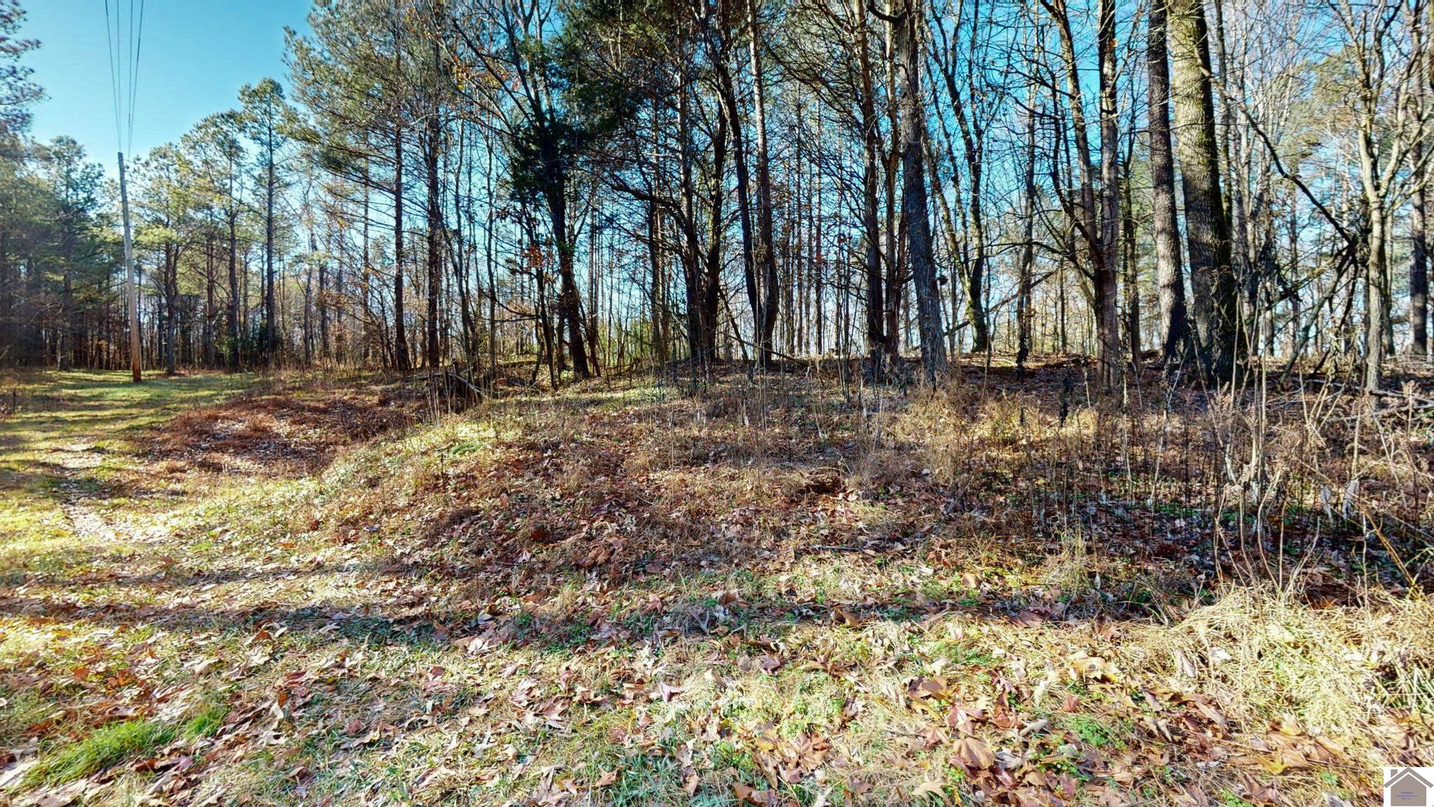 Protemus Road Murray, KY 42071 - Photo 14 of 15 Photo 14
