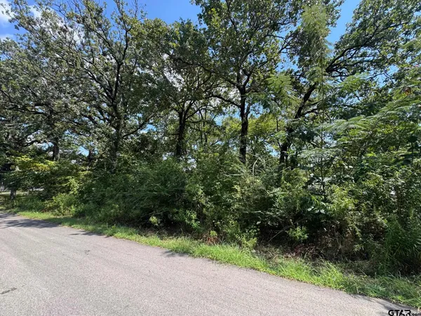 a view of a road with plants and trees