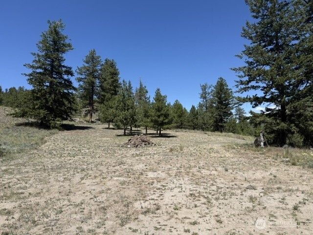 132 West Cayuse Mountain Road Tonasket, WA 98855 - Photo 23 of 29