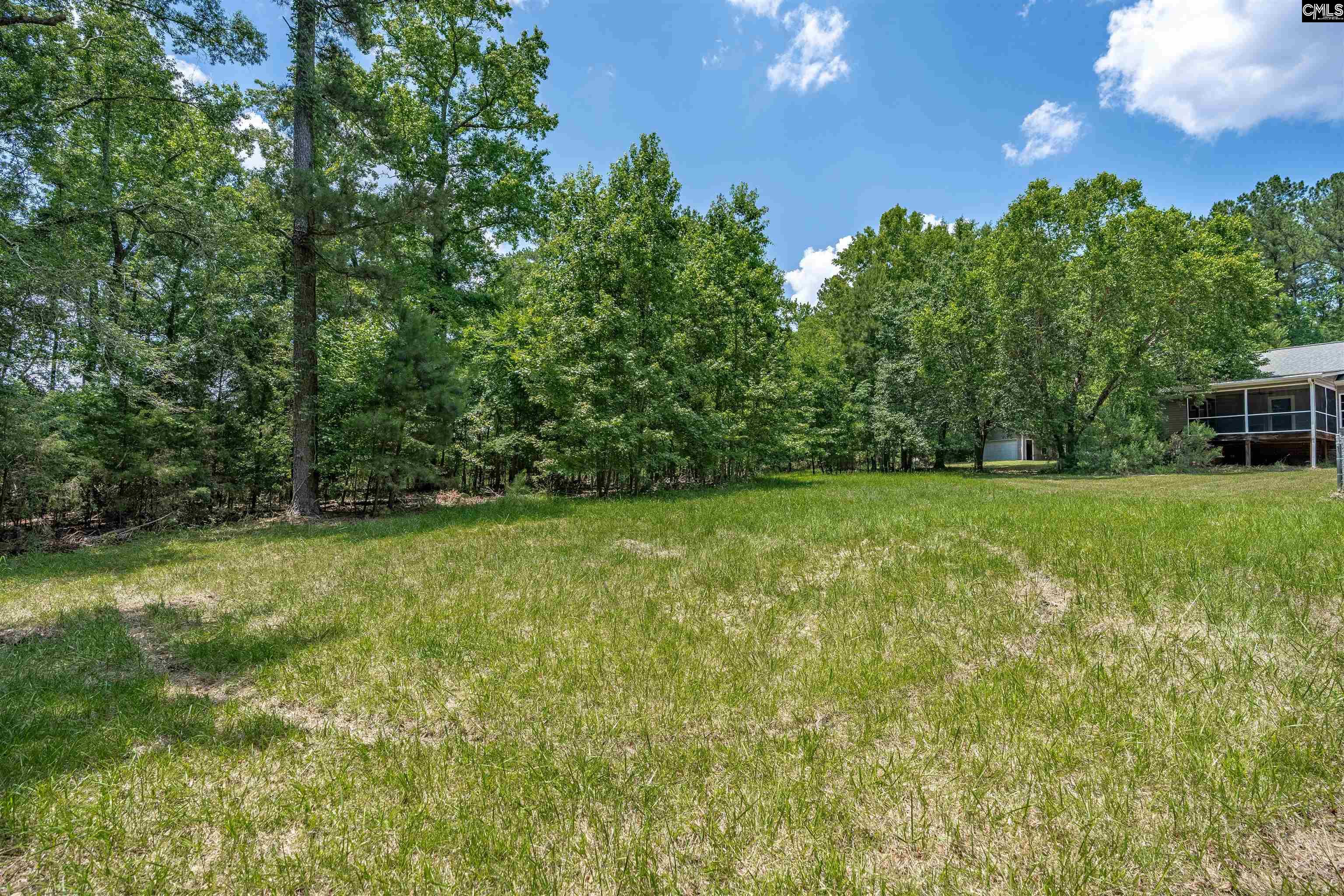 131 Mule Trail Gilbert, SC 29054 - Photo 61 of 65