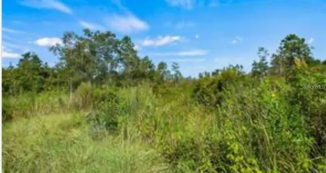 $50,000 | Oil Well Road, Clermont, FL 34714