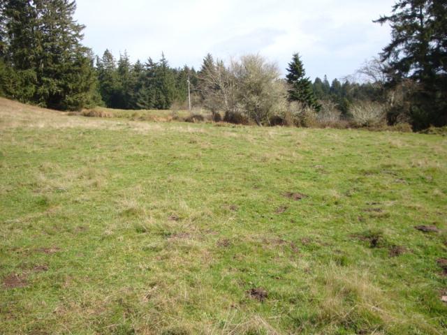 0 Berta Road Eureka, CA 95503 - Photo 12 of 20