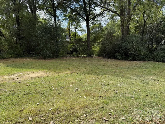 a view of a yard with a trees