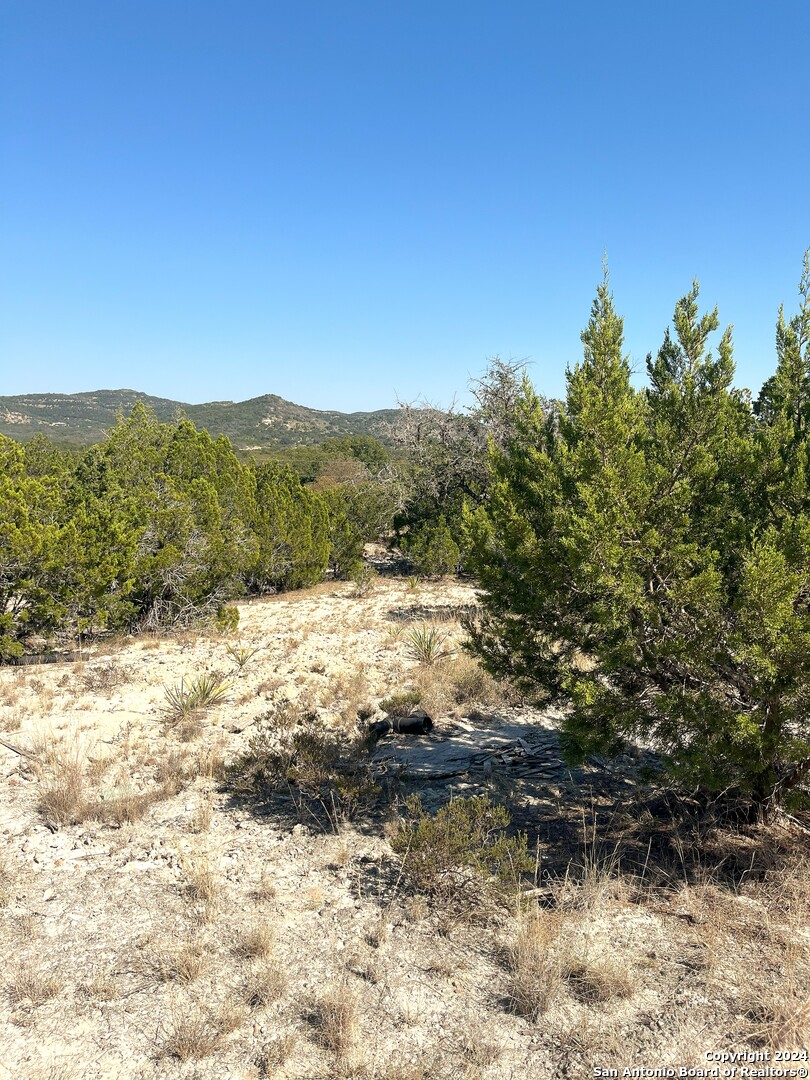 137 Middle Road Rio Frio, TX 78879 - Photo 12 of 29