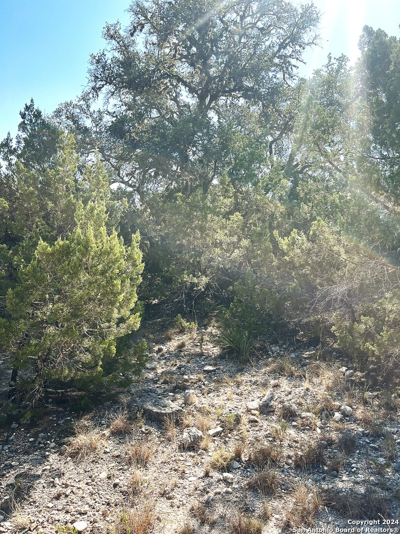 137 Middle Road Rio Frio, TX 78879 - Photo 2 of 29