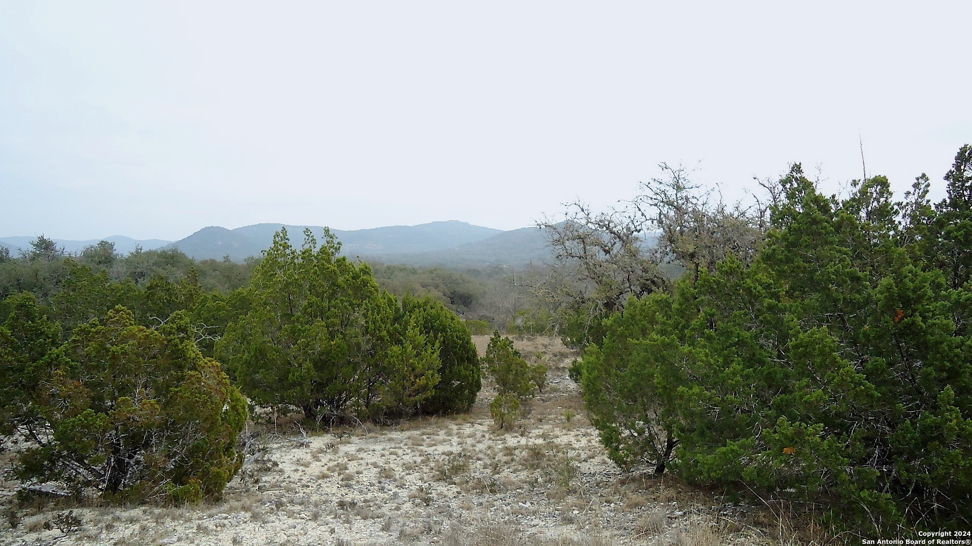 137 Middle Road Rio Frio, TX 78879 - Photo 23 of 29