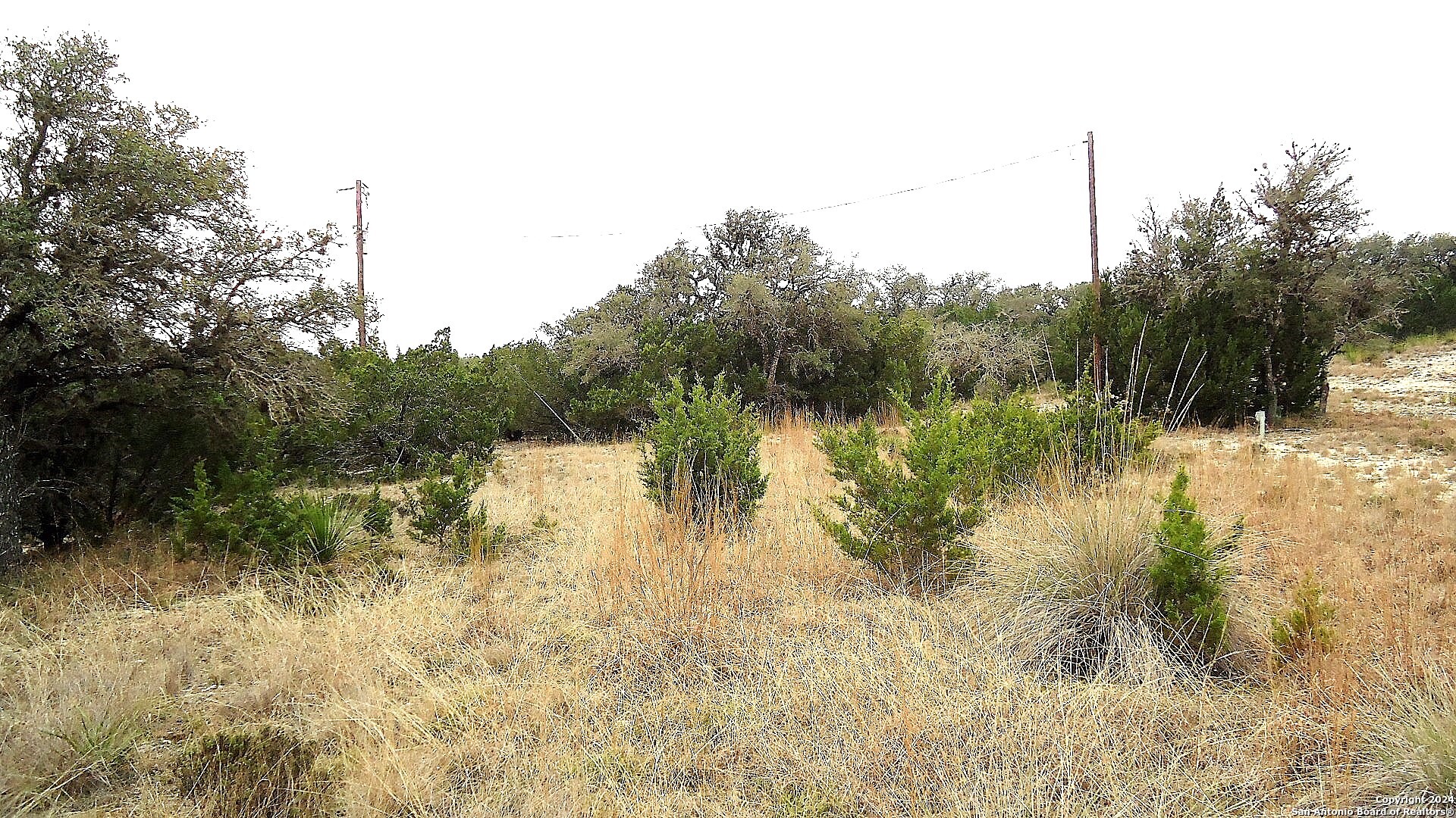 137 Middle Road Rio Frio, TX 78879 - Photo 24 of 29