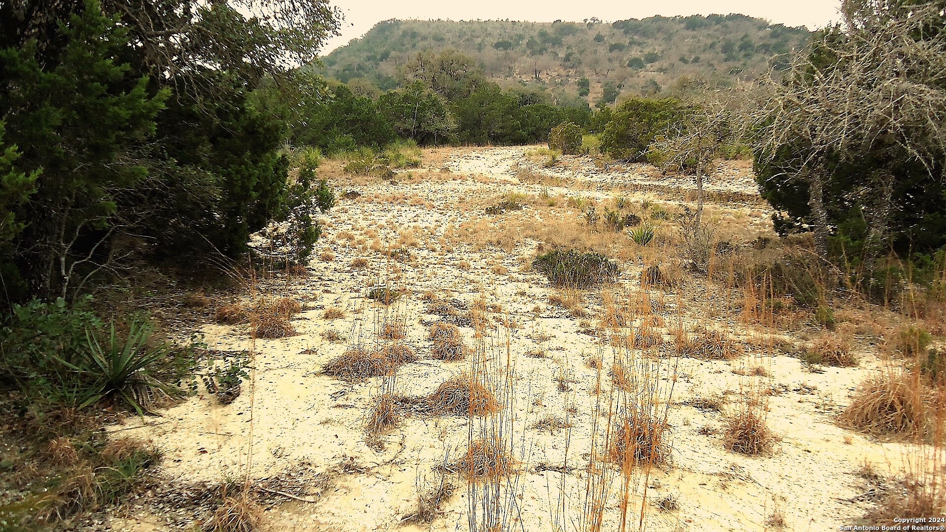 137 Middle Road Rio Frio, TX 78879 - Photo 28 of 29