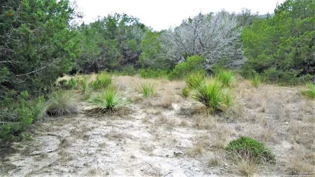 $89,900 | 137 Middle Road, Rio Frio, TX 78879