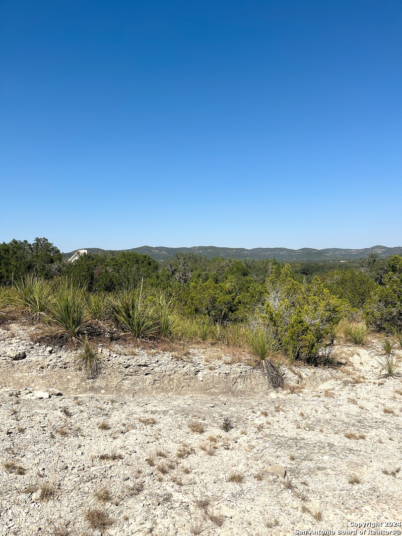 137 Middle Road Rio Frio, TX 78879 - Photo 4 of 29