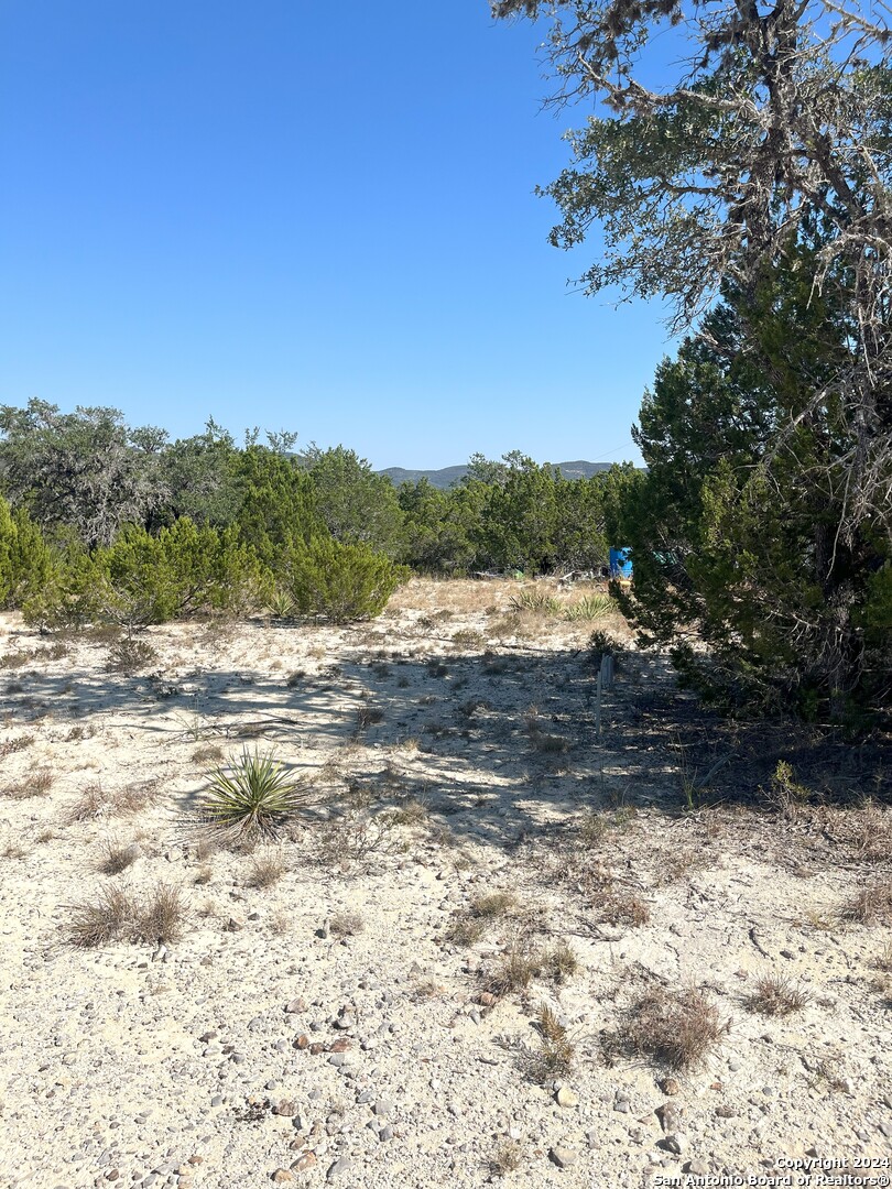 137 Middle Road Rio Frio, TX 78879 - Photo 9 of 29