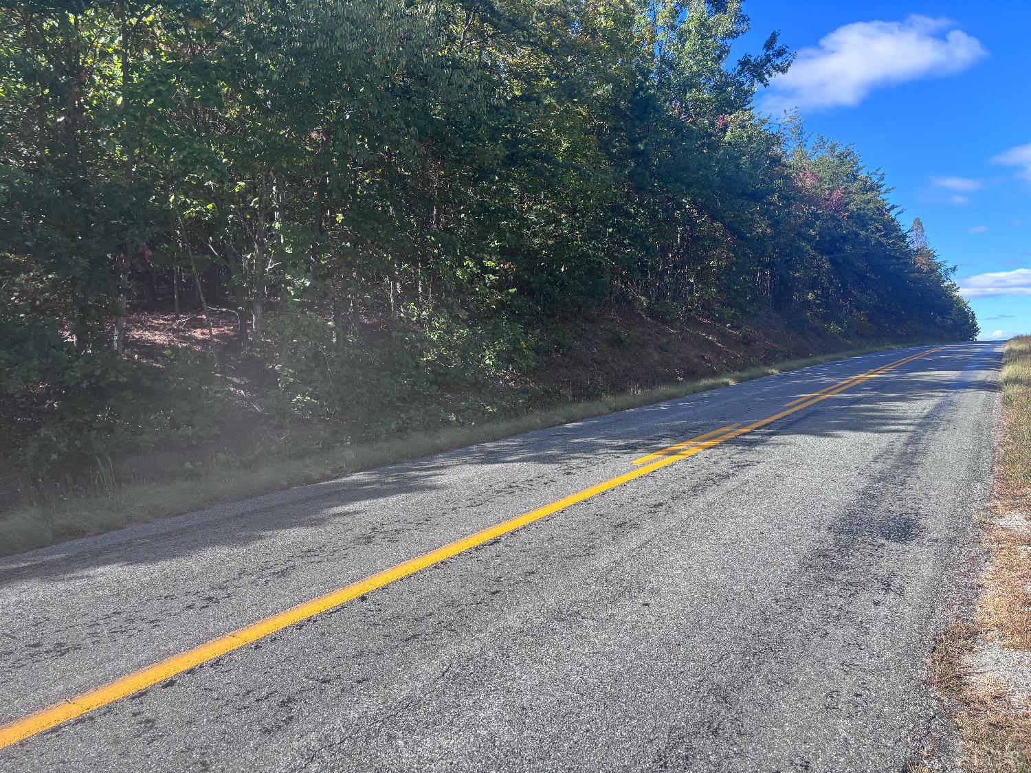 0 Gallows Road Gretna, VA 24557 - Photo 2 of 11 a view of a yard