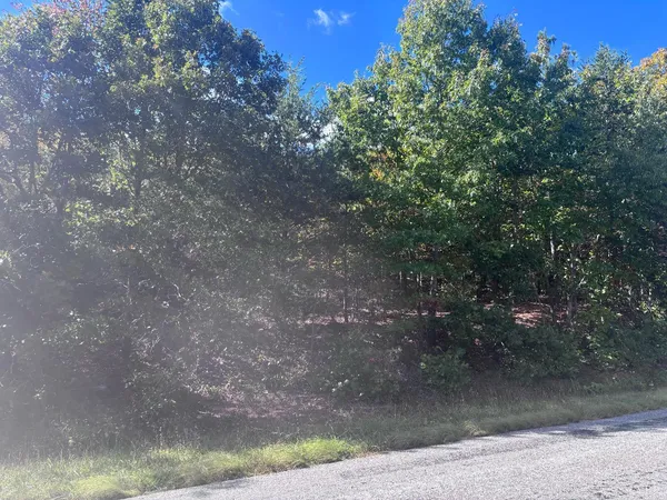 a view of a yard
