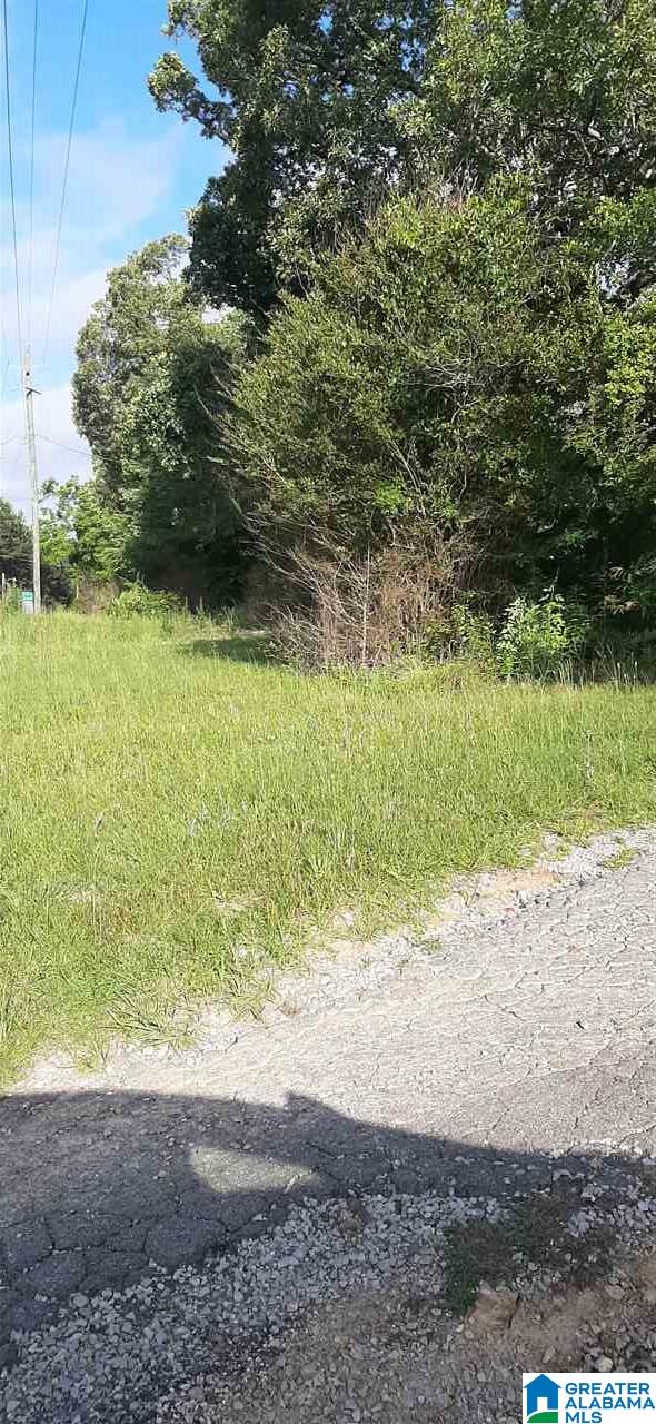 2764 County Line Drive Trafford, AL 35172 - Photo 4 of 4