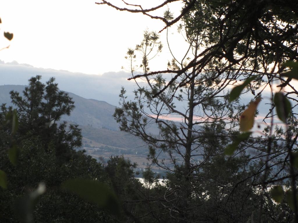 Murrelet Road Klamath Falls, OR 97601 - Photo 7 of 27 IMG_6243 (1024x768)