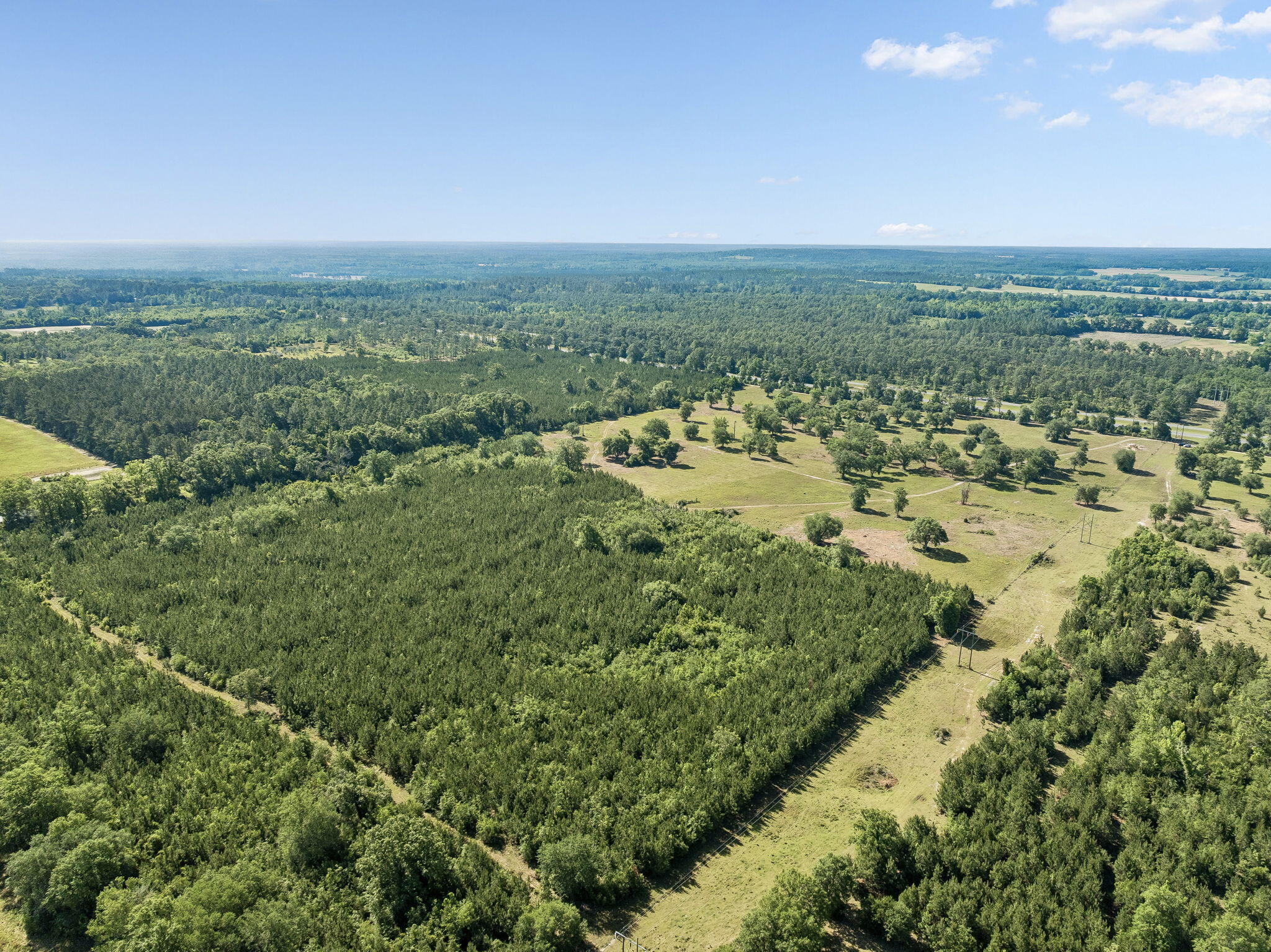 1205 Orange Hill Road Chipley, FL 32428 - Photo 7 of 13 Array_1205OrangeHillRd-6 (1)
