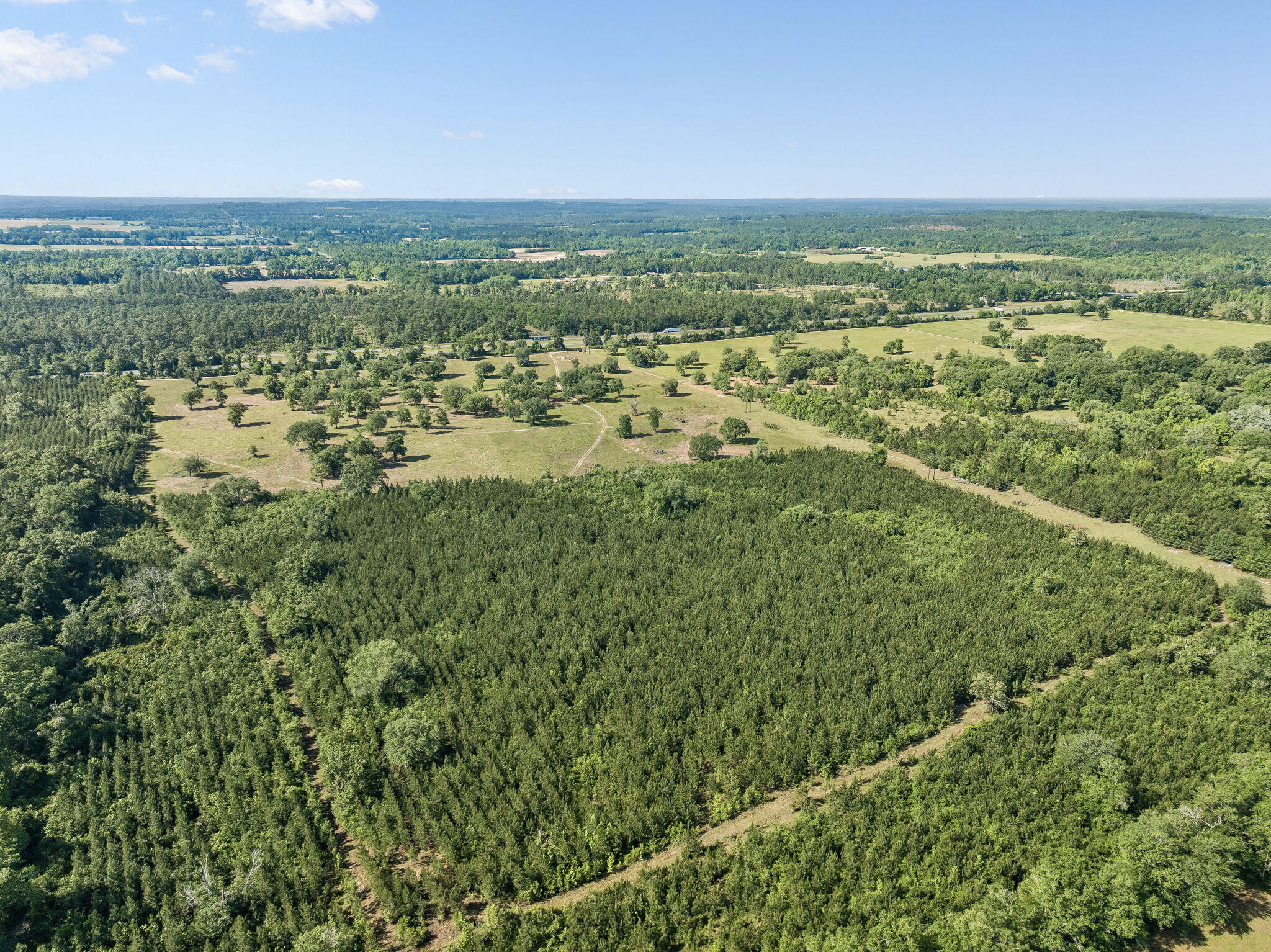 1205 Orange Hill Road Chipley, FL 32428 - Photo 8 of 13 Array_1205OrangeHillRd-8