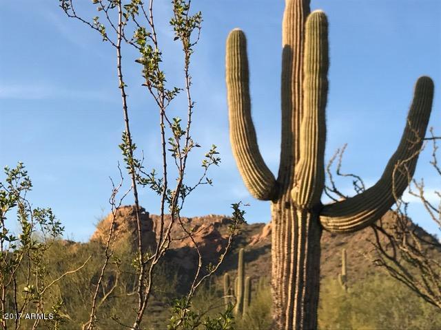 5270 North Colt Road Apache Junction, AZ 85119 - Photo 2 of 4 colt pic 1