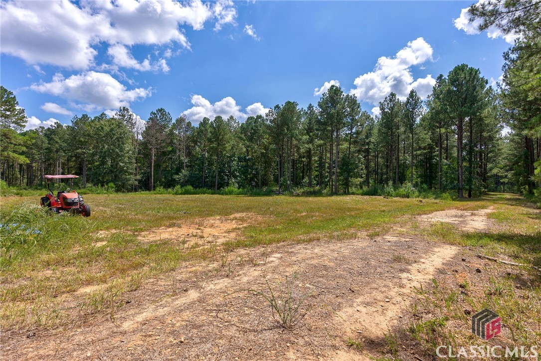 0 Paradise Hogan Road Lexington, GA 30648 - Photo 8 of 38