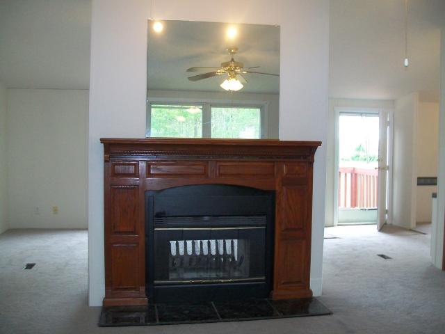 2399 Ramsey Memorial Road Penhook, VA 24137 - Photo 3 of 18 Beautiful Fireplace