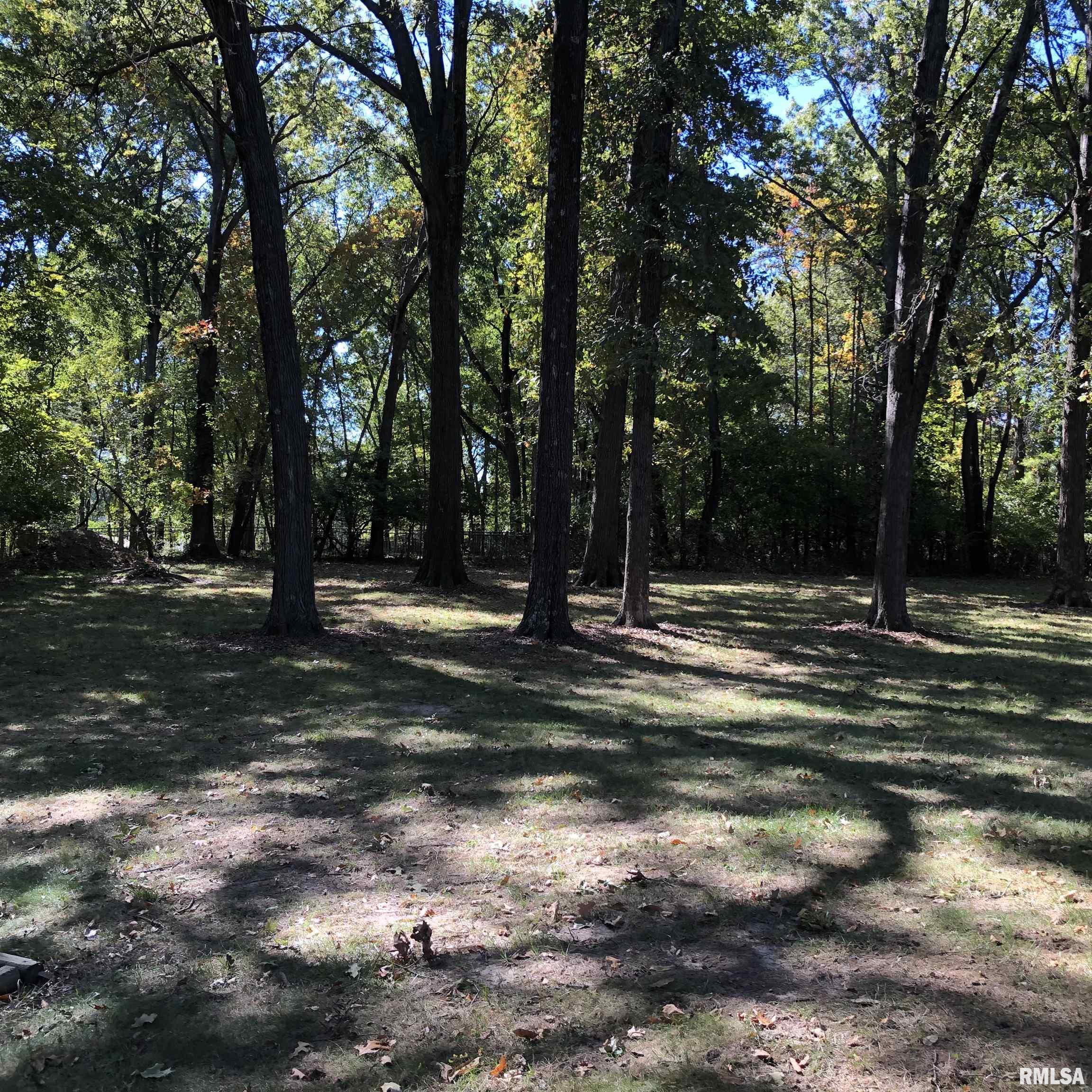 2707 East Richview Road Mount Vernon, IL 62864 - Photo 46 of 62 Gallery Image 46