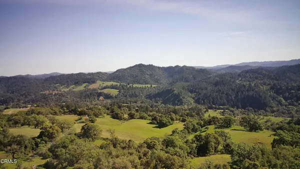 a view of a lush green field with mountains in the background