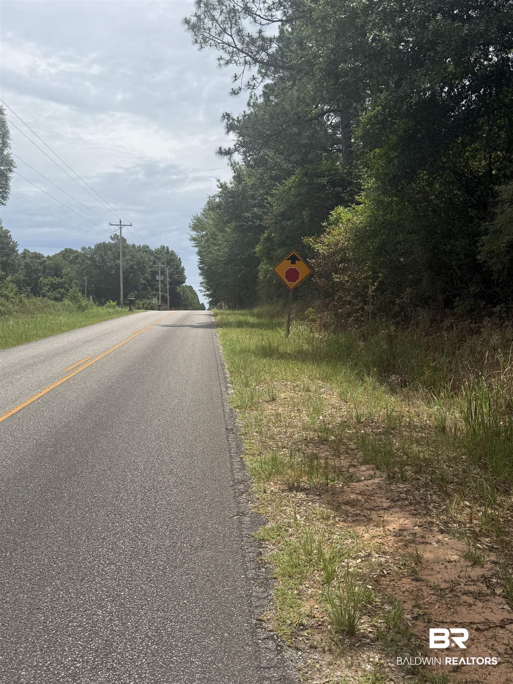29607 Fox Branch Road Loxley, AL 36551 - Photo 2 of 5