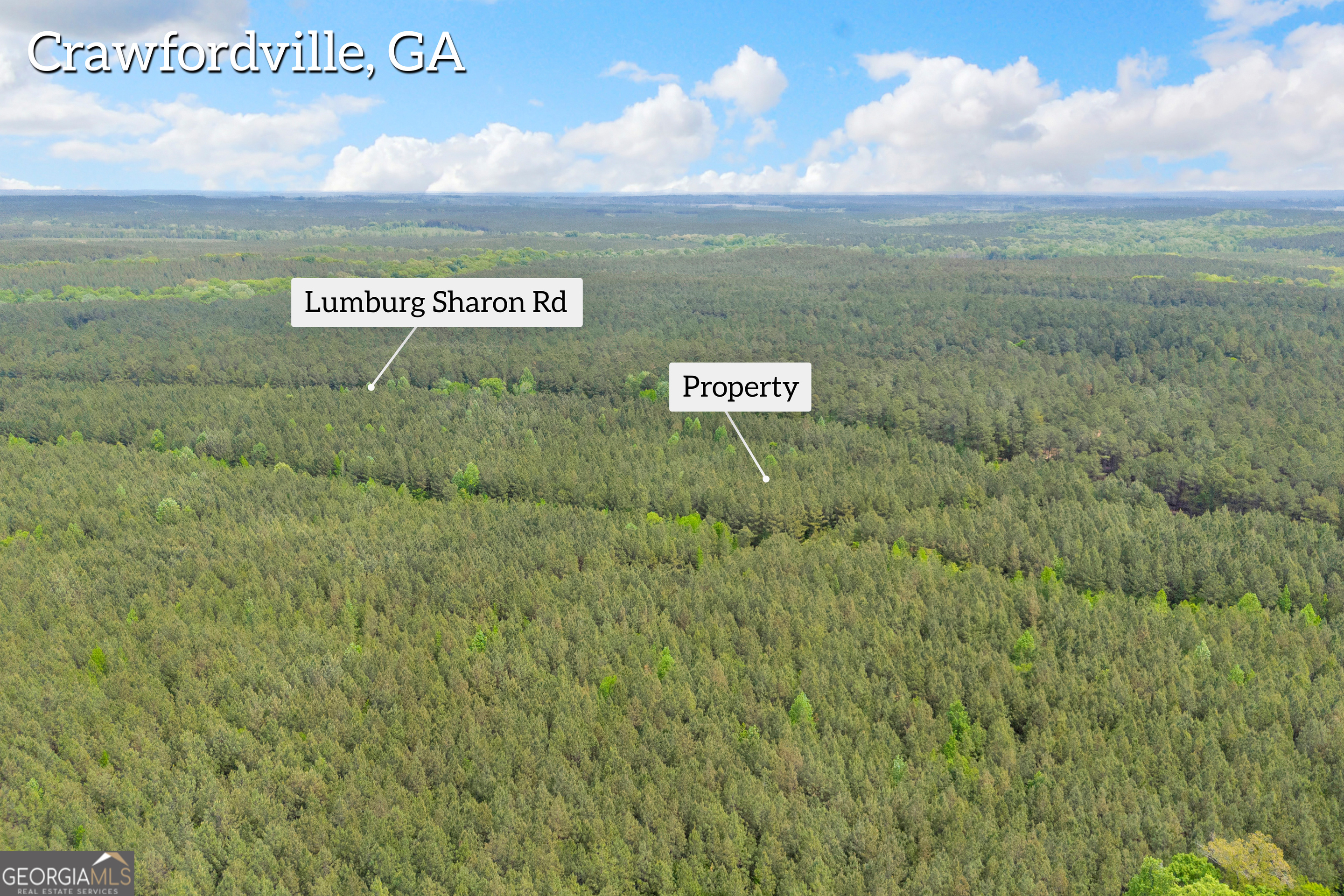 0 Upper Mill Road Northeast Crawfordville, GA 30631 - Photo 12 of 29