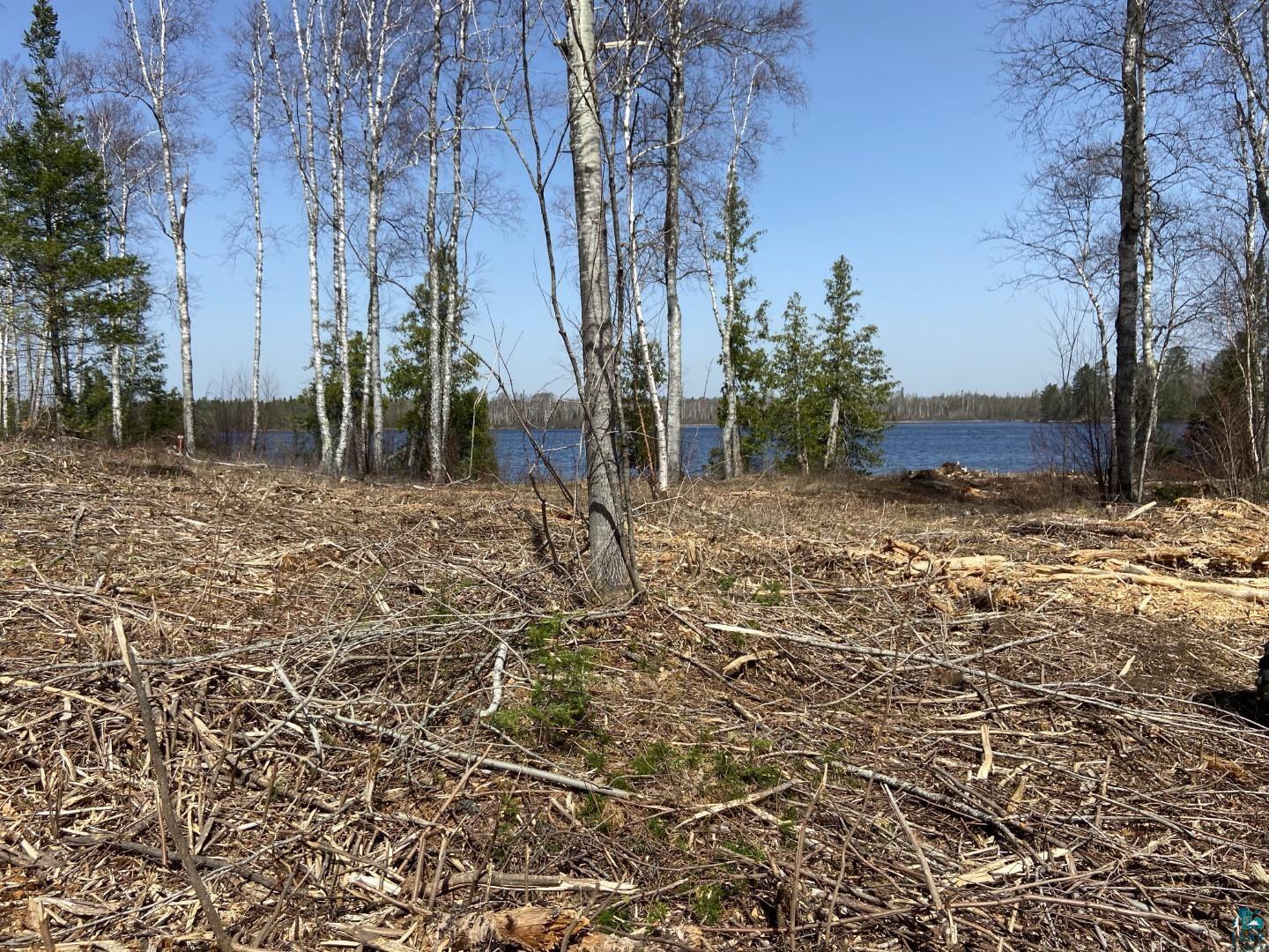 2102-10 Bear Lake Road Duluth, MN 55803 - Photo 2 of 19 View from the buiding site area