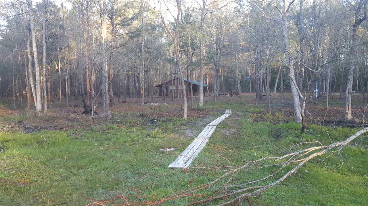 75 Briar Road Monticello, FL 32344 - Photo 8 of 25 Gallery Image 8