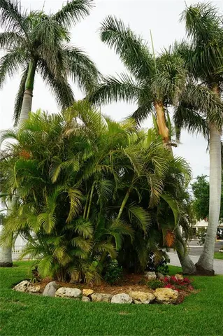 $2,100 | 1877 Southpointe Drive, Sarasota, FL 34231