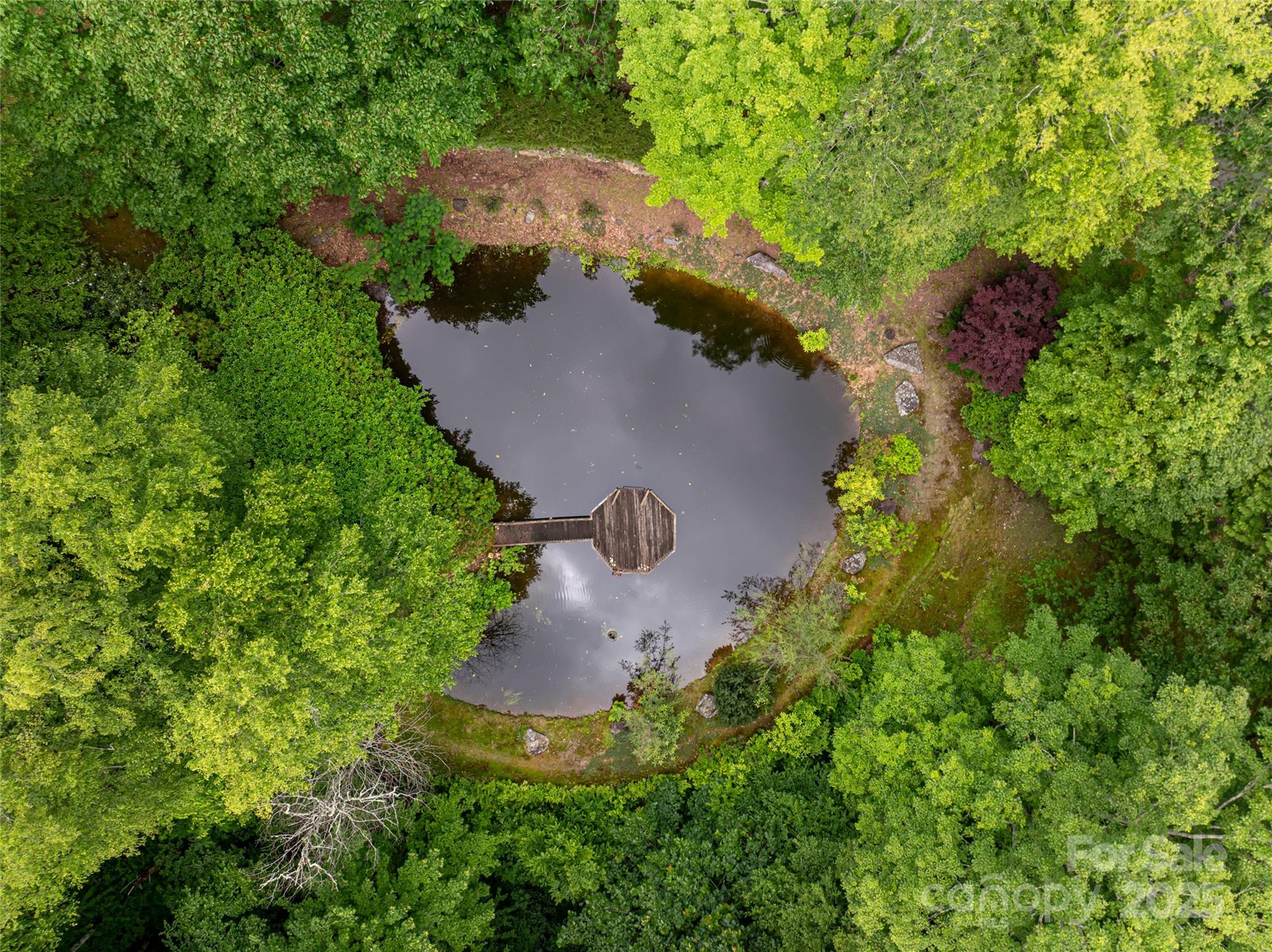 303 Flying Hawk Road Waynesville, NC 28786 - Photo 46 of 48 an aerial view of a house with a yard