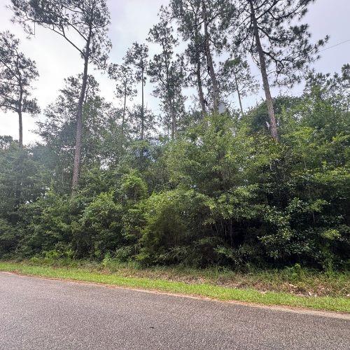 0 West Ruth Road Lacombe, LA 70445 - Photo 2 of 8