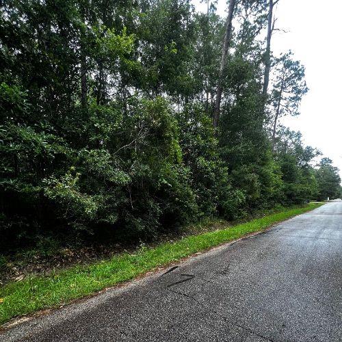 0 West Ruth Road Lacombe, LA 70445 - Photo 5 of 8