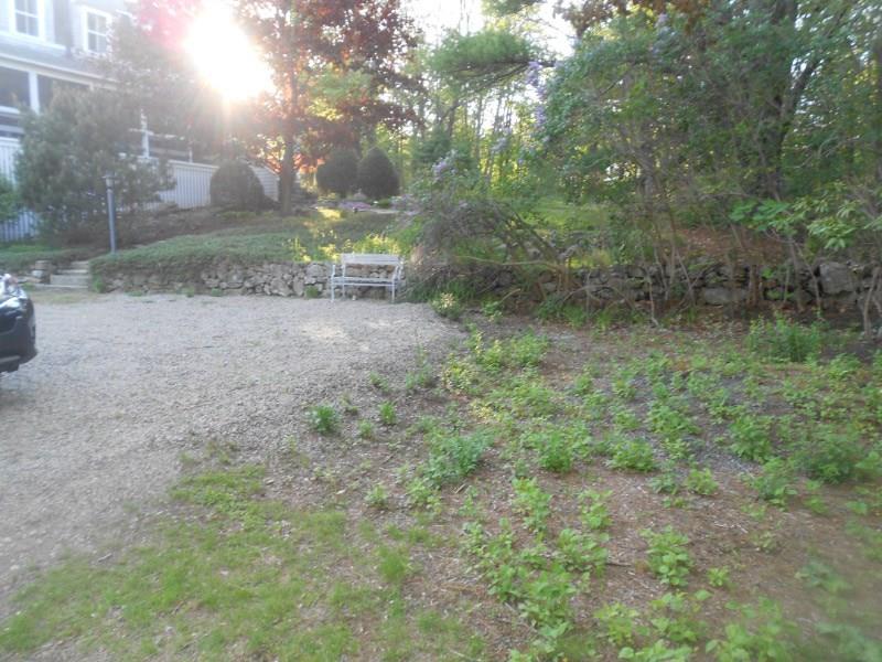 16 Pine Hill Road South Cape Neddick, ME 03902 - Photo 12 of 19 Left side yard of cottage