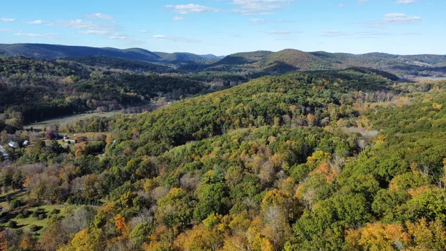 a view of a lush green hillside and a mountain