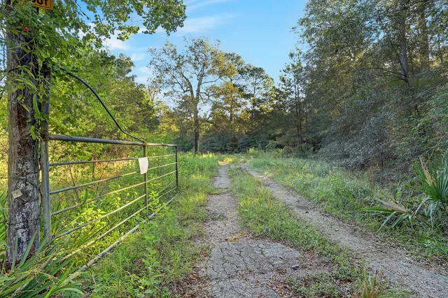 a view of yard with green space