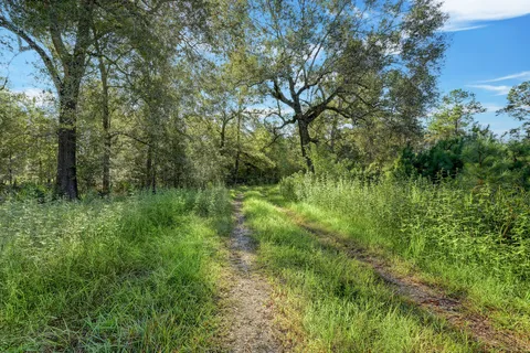 $4,950,000 | 18760 Pin Oak Road, Conroe, TX 77385