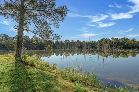 a lake view with a garden