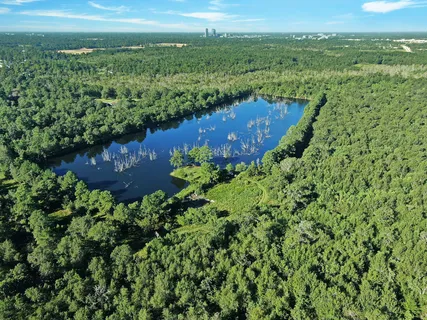 a view of a lush green space