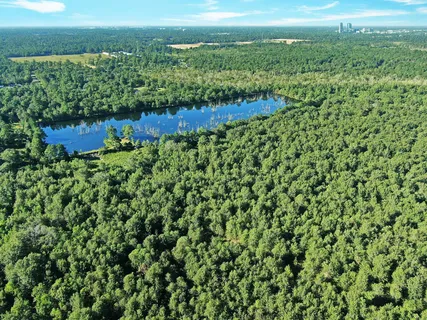 a view of yard with green space