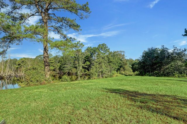 a view of a lush green forest