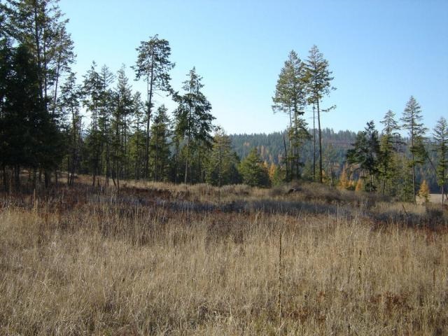 866 Skidmore Road Colville, WA 99114 - Photo 2 of 2