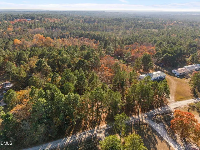 an aerial view of residential houses with outdoor space and trees