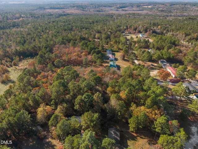 a view of a forest with a street